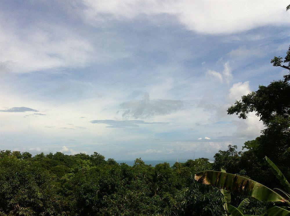 Hotel California Manuel Antonio Eksteriør billede