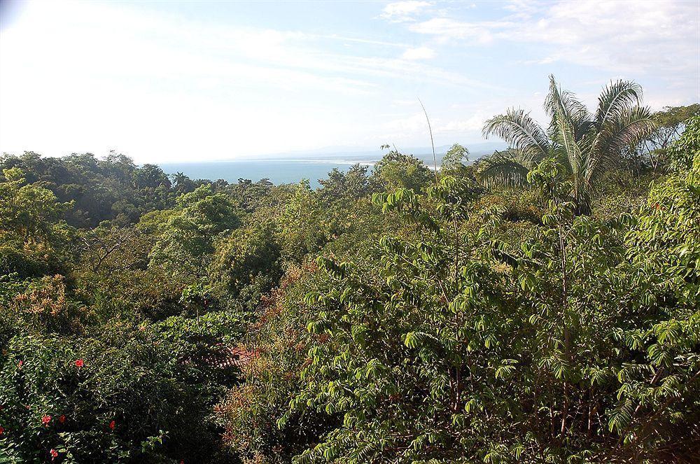 Hotel California Manuel Antonio Eksteriør billede